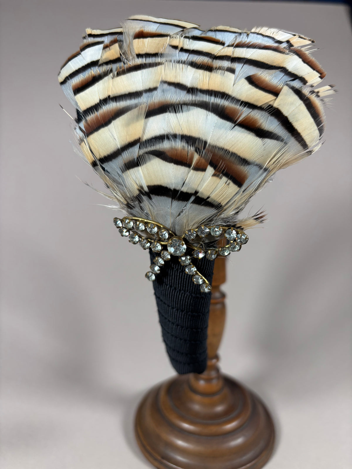 Autumn Feathers