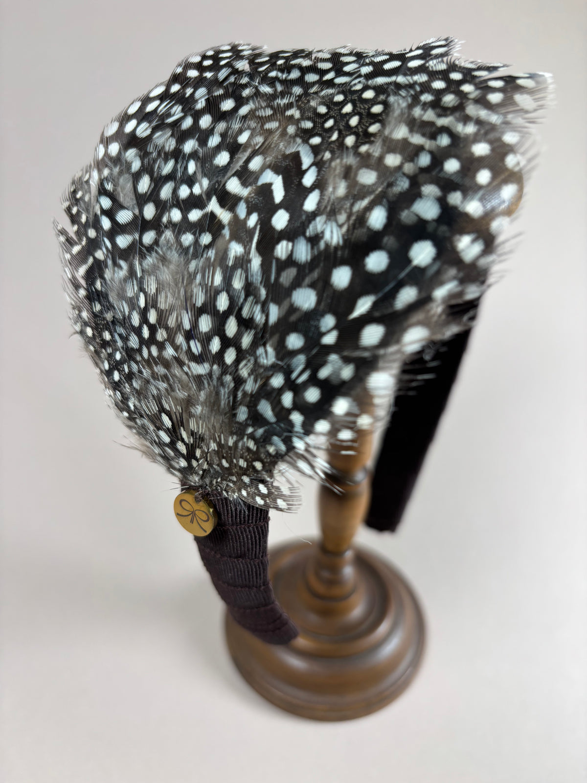 Autumn Feathers