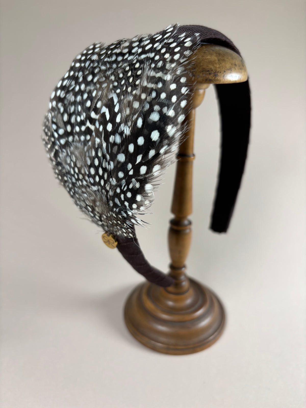 Autumn Feathers